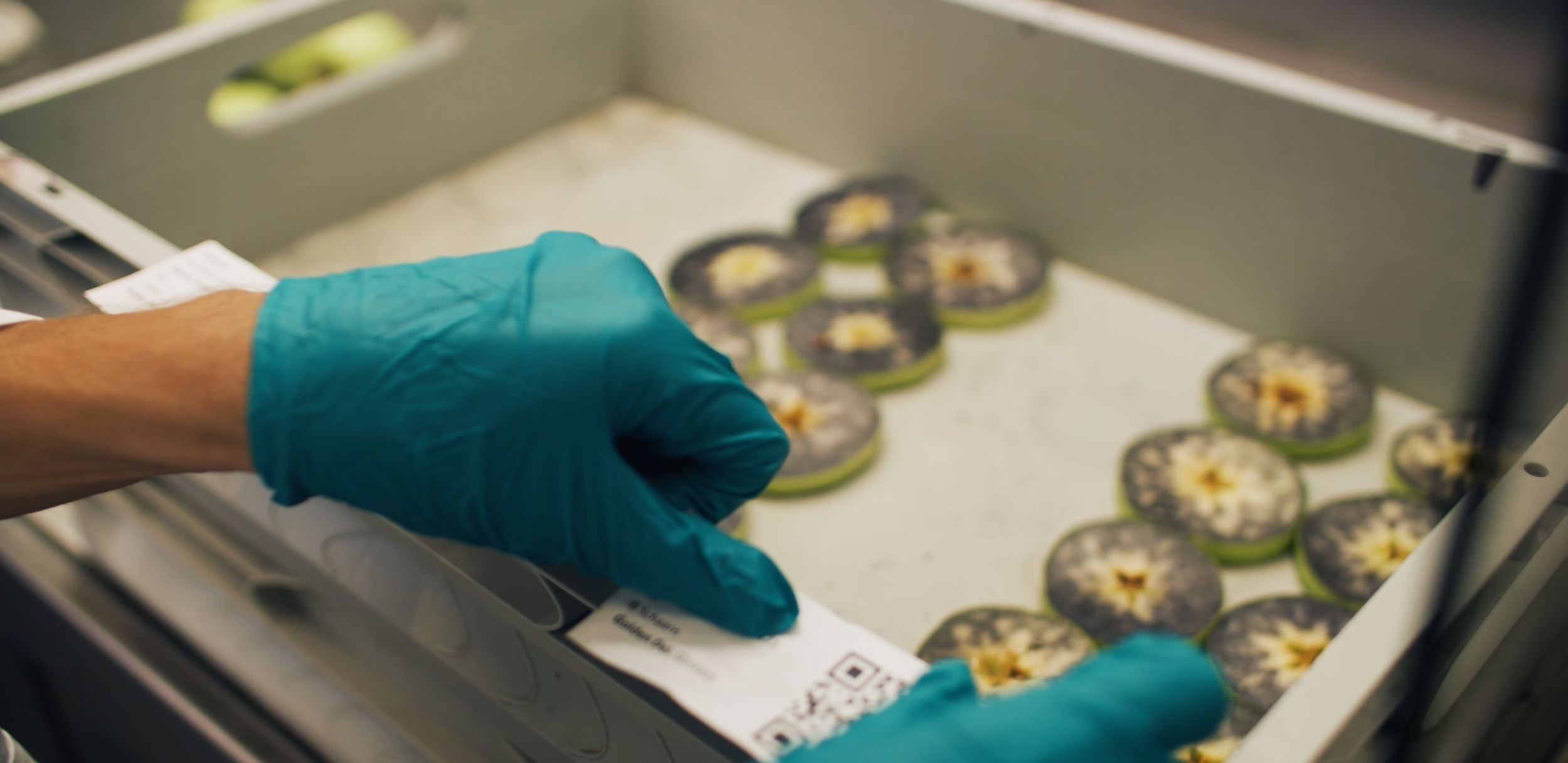 MelaLab erkennt Äpfel automatisch und klassifiziert den Stärkewert